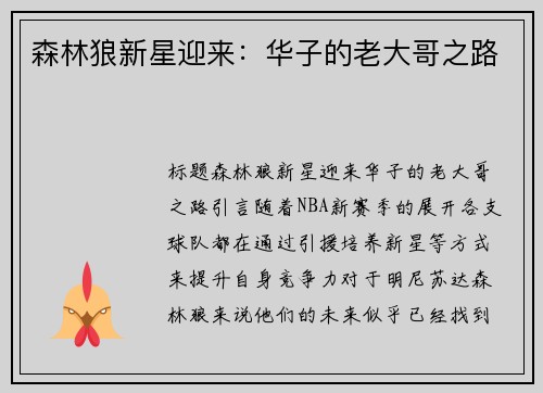 森林狼新星迎来：华子的老大哥之路