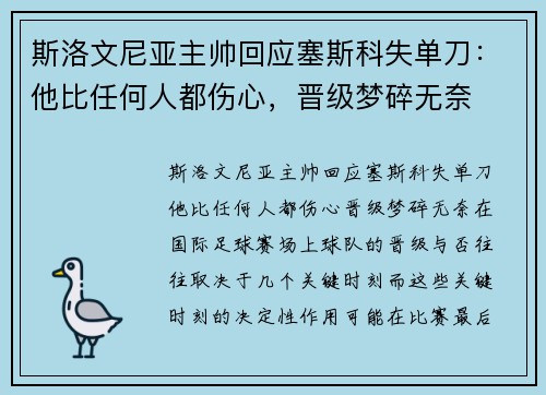 斯洛文尼亚主帅回应塞斯科失单刀：他比任何人都伤心，晋级梦碎无奈
