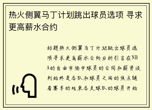 热火侧翼马丁计划跳出球员选项 寻求更高薪水合约