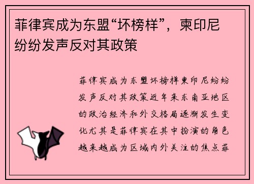 菲律宾成为东盟“坏榜样”，柬印尼纷纷发声反对其政策