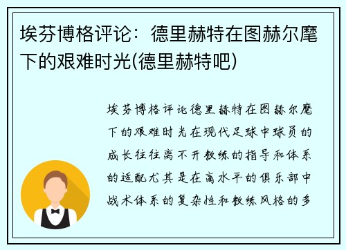 埃芬博格评论：德里赫特在图赫尔麾下的艰难时光(德里赫特吧)