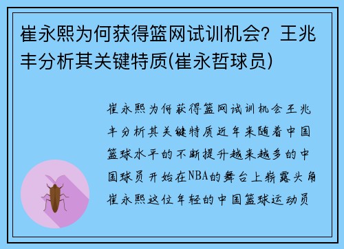 崔永熙为何获得篮网试训机会？王兆丰分析其关键特质(崔永哲球员)