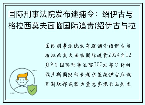 国际刑事法院发布逮捕令：绍伊古与格拉西莫夫面临国际追责(绍伊古与拉夫罗夫关系好)