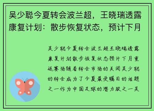 吴少聪今夏转会波兰超，王晓瑞透露康复计划：散步恢复状态，预计下月重返赛场