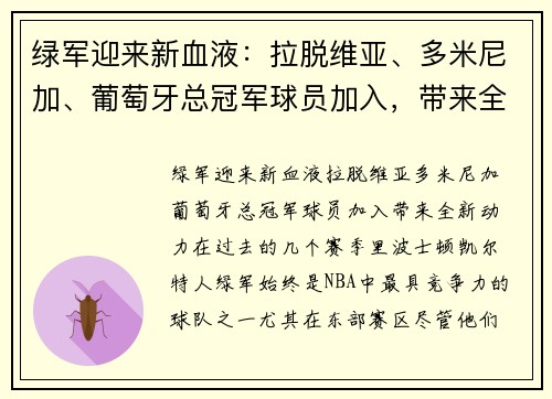绿军迎来新血液：拉脱维亚、多米尼加、葡萄牙总冠军球员加入，带来全新动力