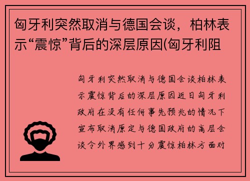 匈牙利突然取消与德国会谈，柏林表示“震惊”背后的深层原因(匈牙利阻止欧盟)